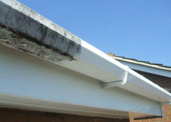 Avoiding Costly Repairs: Why Leyland Residents Should Prioritize Fascia Cleaning