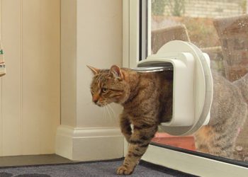 The Role of Proper Cat Flap Installation in Maintaining Your Home’s Energy Efficiency