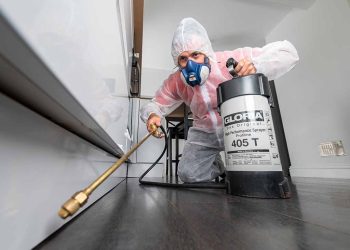 Pest Control Services: Protecting Your Property and Health from Unwanted Invaders