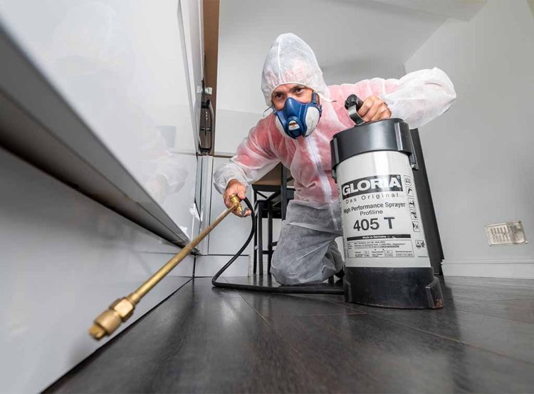 Pest Control Services: Protecting Your Property and Health from Unwanted Invaders