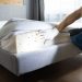 Bite Back: Effective Strategies for Bed Bug Treatment