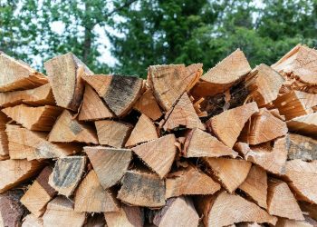 The Art of the Flame: A Guide to Premium Firewood