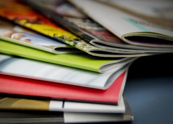 Customizing Brochures for Targeted Audience Engagement and Conversions