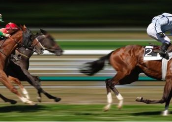 Horse Racing Results: A Window into Equine Excellence and Strategy