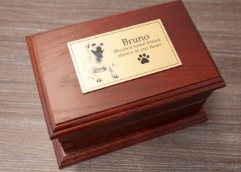 Saying Goodbye with Dignity: A Compassionate Guide to Pet Cremations in Glasgow