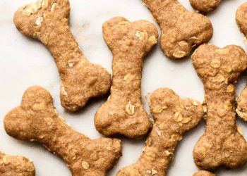 Navigating the World of Dog Treats: Types, Ingredients, and Responsible Use