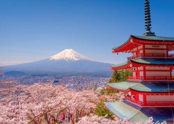 Zen Gardens to Neon Lights: The Contrasts Drawing Tourists to Japan