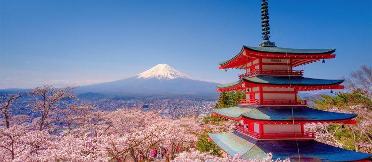 Zen Gardens to Neon Lights: The Contrasts Drawing Tourists to Japan