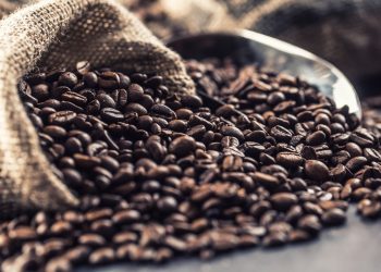 Beyond the Supermarket Aisle: Exploring the World of Wholesale Coffee