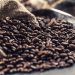 Beyond the Supermarket Aisle: Exploring the World of Wholesale Coffee