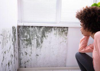 Navigating Housing Issues: The Essential Role of Housing Disrepair Solicitors in London