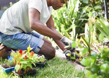 Transform Your Outdoor Space: The Benefits of a Gardener in Tunbridge Wells