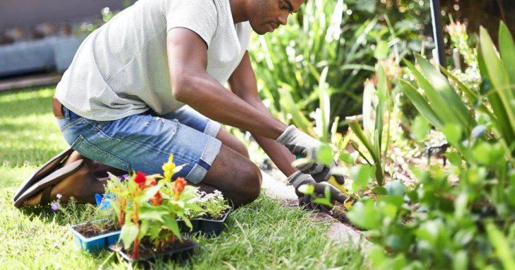 Transform Your Outdoor Space: The Benefits of a Gardener in Tunbridge Wells