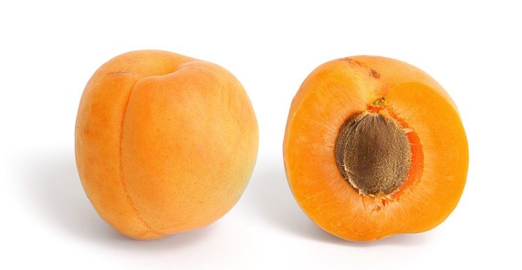 From Antioxidants to Immunity: The Many Benefits of Apricot Seeds