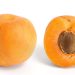 From Antioxidants to Immunity: The Many Benefits of Apricot Seeds