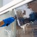 Supporting the Community Through Local Window Cleaning Services