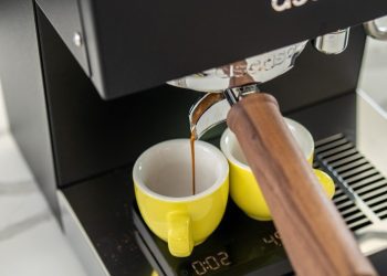 Refined Brewing Made Easy: Meet the Ascaso Steel Duo Plus