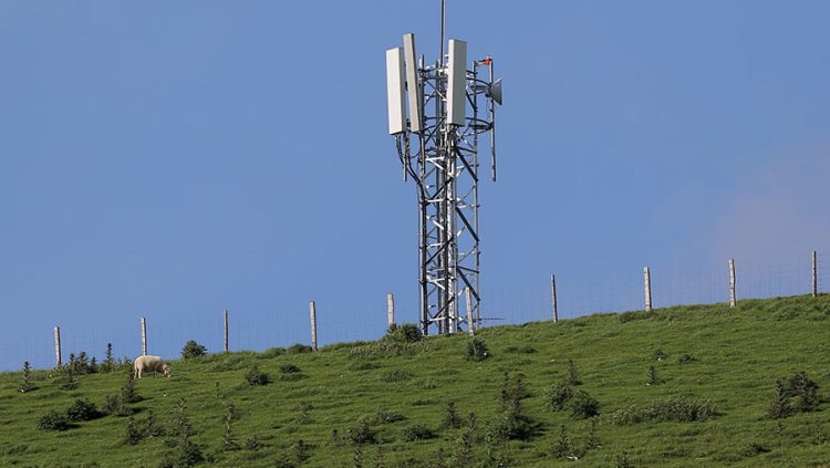 Landowner’s Guide to Phone Mast Rent: How to Earn More from Telecoms Operators