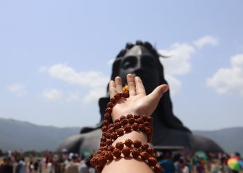 Bodhi vs. Rudraksha vs. Lotus: Which Mala Beads Speak to You?
