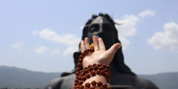 Bodhi vs. Rudraksha vs. Lotus: Which Mala Beads Speak to You?