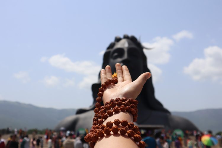 Bodhi vs. Rudraksha vs. Lotus: Which Mala Beads Speak to You?
