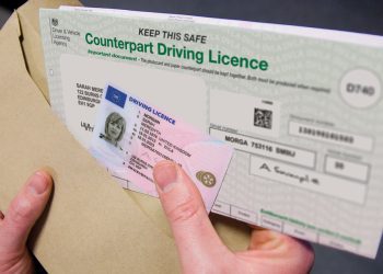 The Authentication Revolution: Understanding Transport Authority Verification Systems