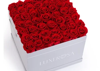 A Gift Beyond Time: Why Eternal Roses Are the Perfect Choice