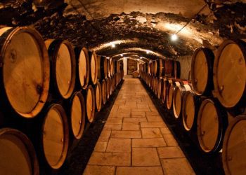 From Spirit to Speculation: Understanding the Whisky Cask Investment Journey