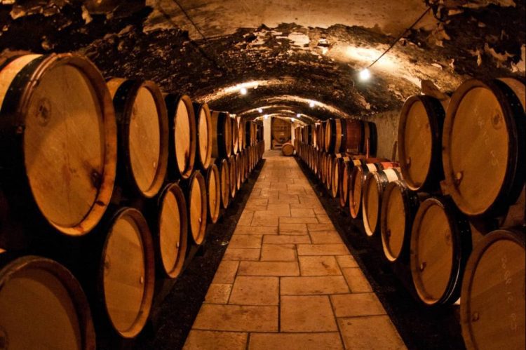 From Spirit to Speculation: Understanding the Whisky Cask Investment Journey