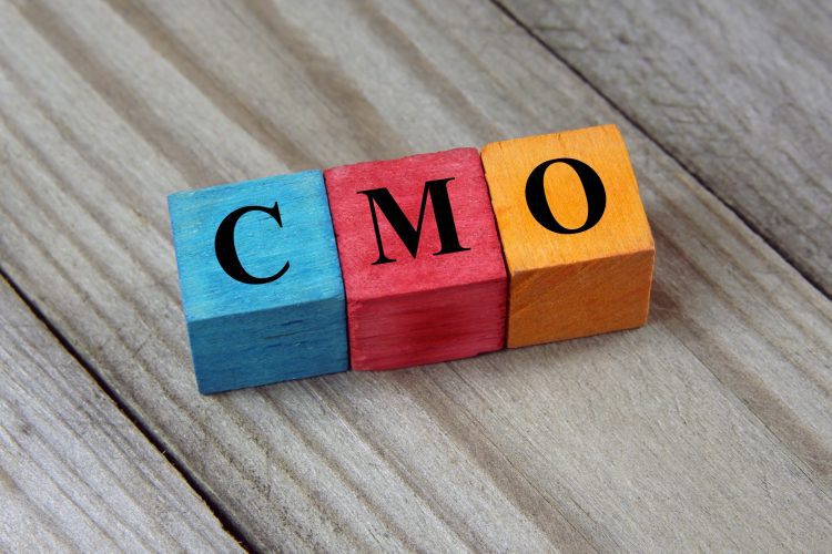 Strategic Marketing Leadership on Demand: How to Secure the Right Fractional CMO in London