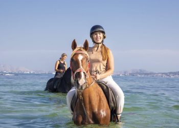 Hoofbeats on the Beach: Discovering Mallorca’s Most Magical Horse Riding Experience