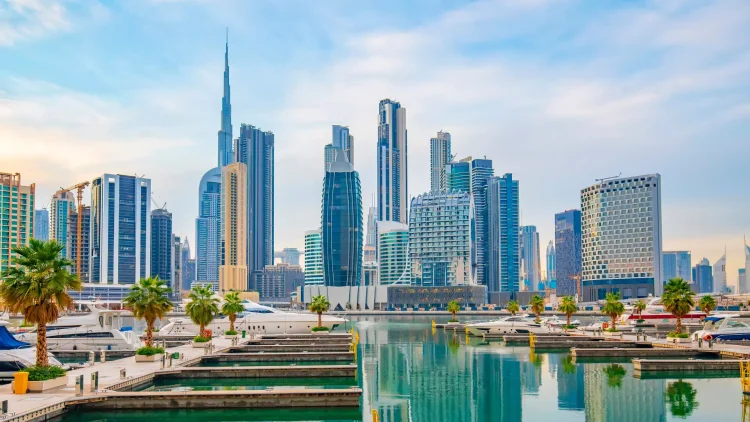 From Idea to Licence: Inside the Dubai Free Zone Company Formation Process