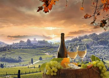 The Smart Guide to Buying Italian Wine Online
