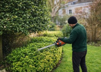 A Year-Round Guide to Garden Maintenance Tunbridge Wells Residents Can Rely On