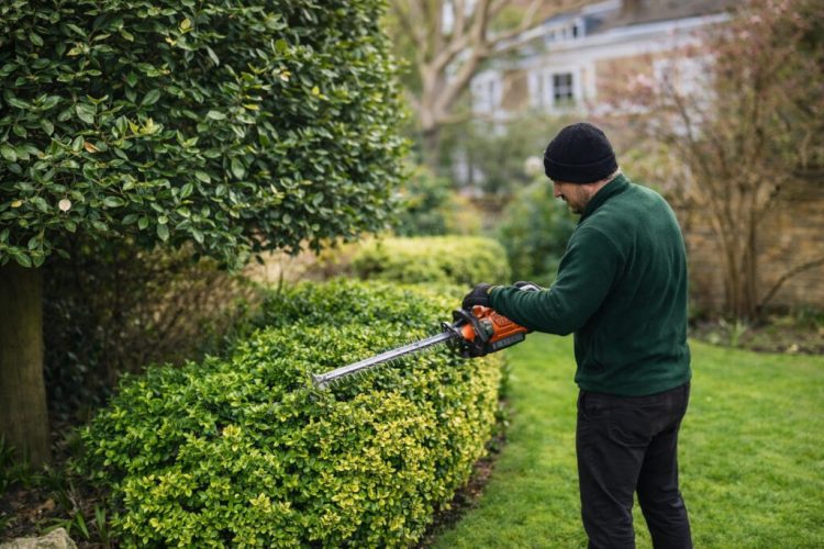 A Year-Round Guide to Garden Maintenance Tunbridge Wells Residents Can Rely On
