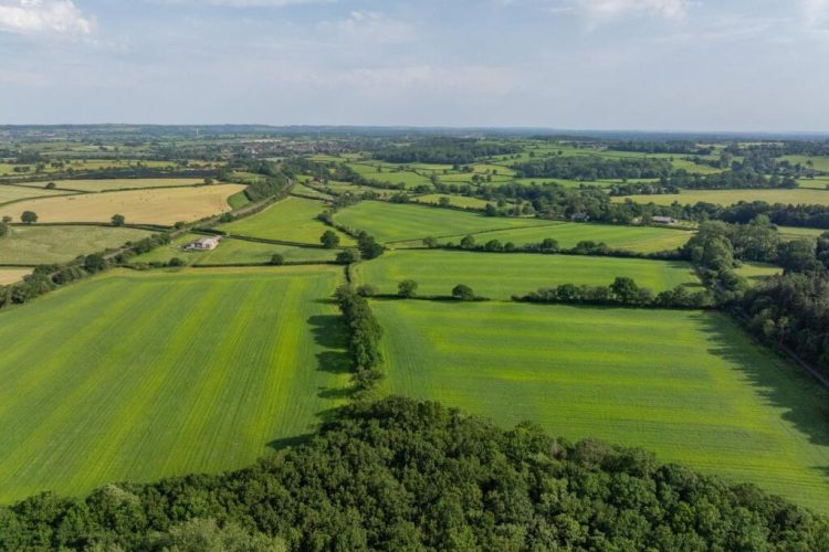 The Changing Countryside: Why Land Valuations Have Become Essential for Landowners